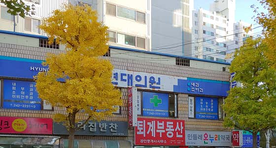 현대의원
