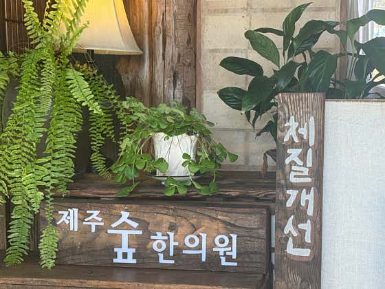 제주숲한의원