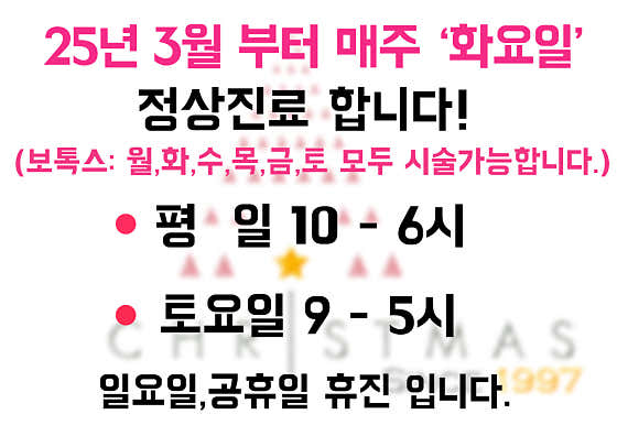 크리스마스의원