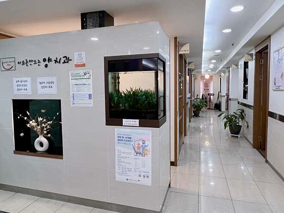 Yang Dental Clinic