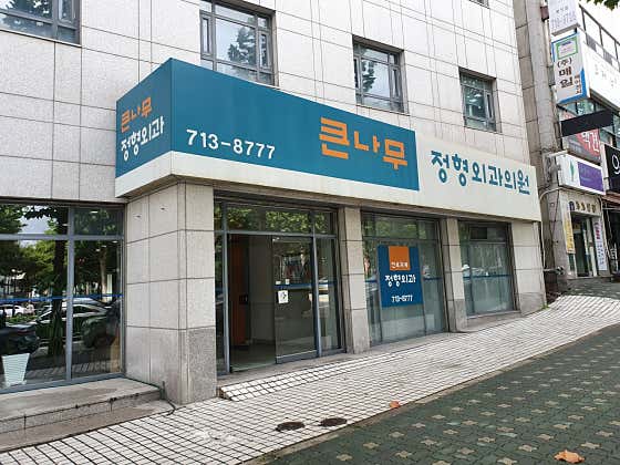 큰나무정형외과의원