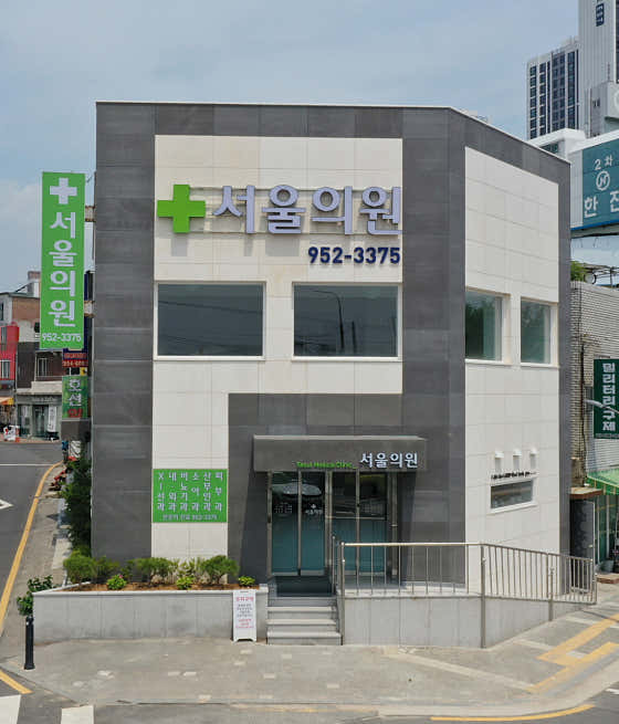 Seoul Council