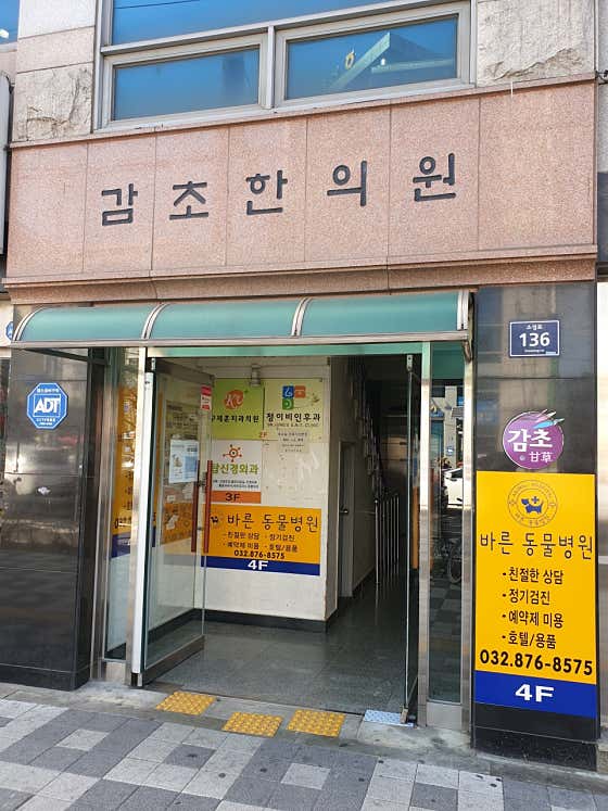 감초한의원