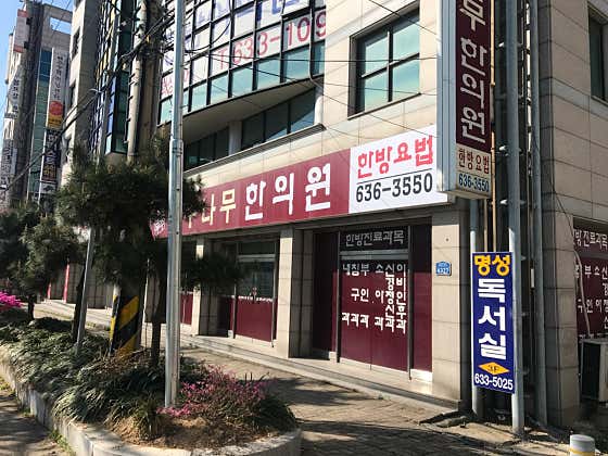 Jujube Tree Korean Medicine Clinic