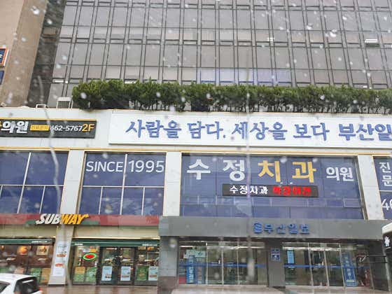 수정치과의원