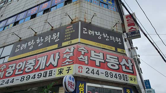 고려당한의원
