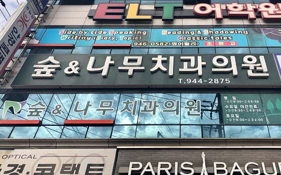숲&나무치과의원