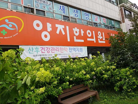 양지한의원