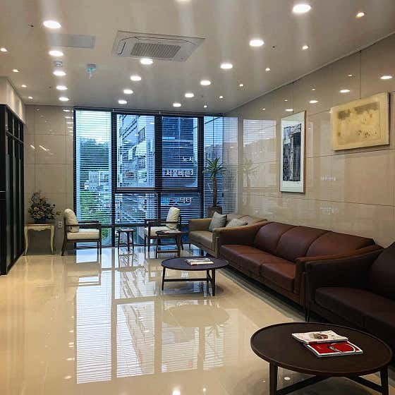 Lee Young-soo Plastic Surgery Clinic