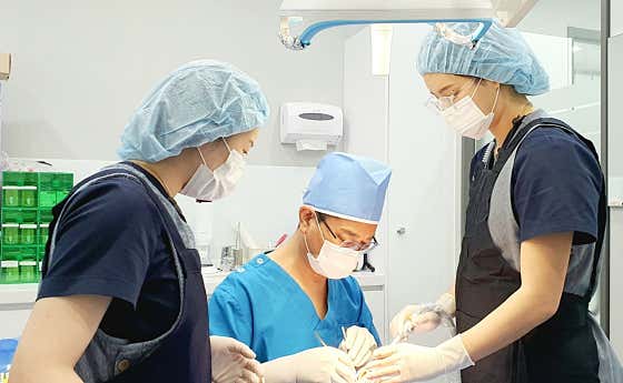 Joy Plant Dental Clinic