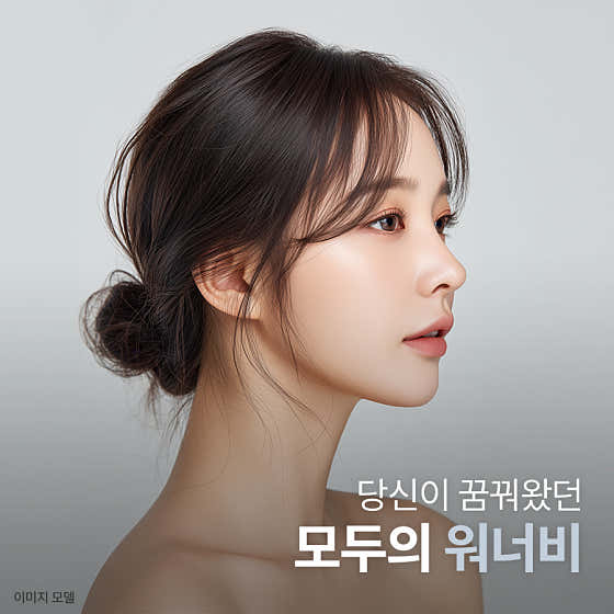 Wannabe Plastic Surgery Clinic