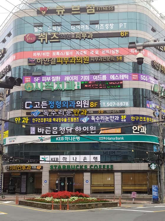 고든정형외과의원
