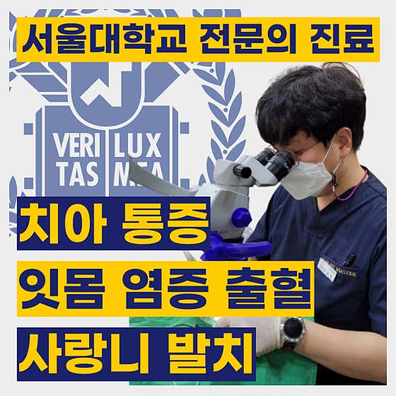 Seoul E&E Dental Clinic