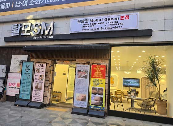 모발퀸