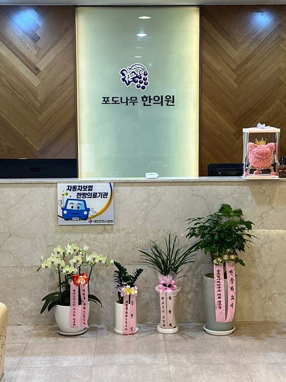 포도나무한의원