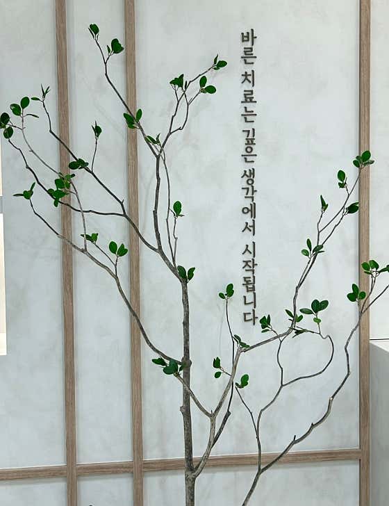 Thinking Dental Clinic