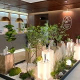 Welkin Scalp & Hair Loss Center Cheonan Sinbuldang Branch