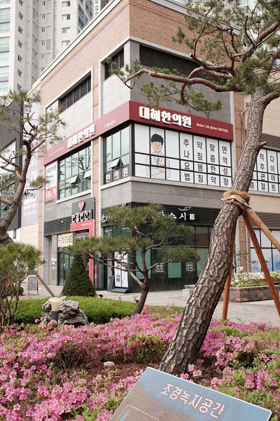 Daehae Korean Medicine Clinic