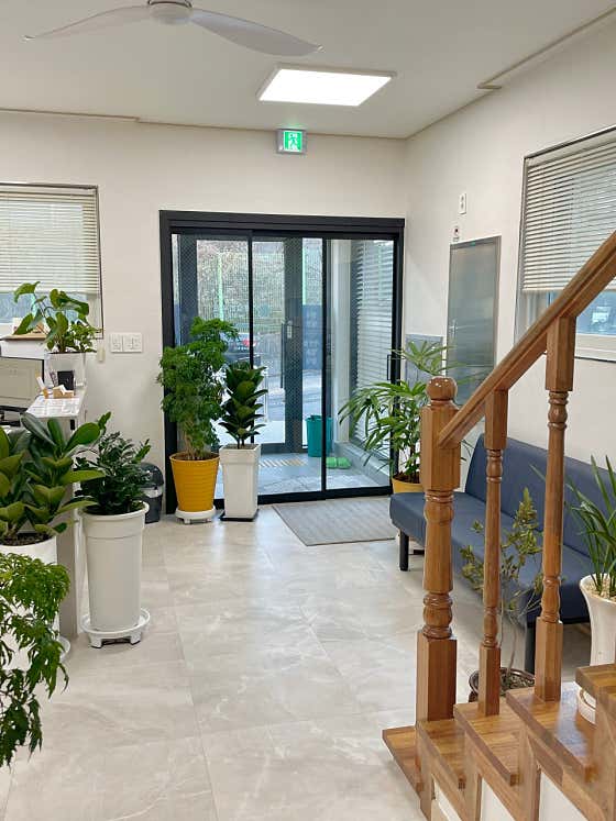 Myeongsim Korean Medicine Clinic