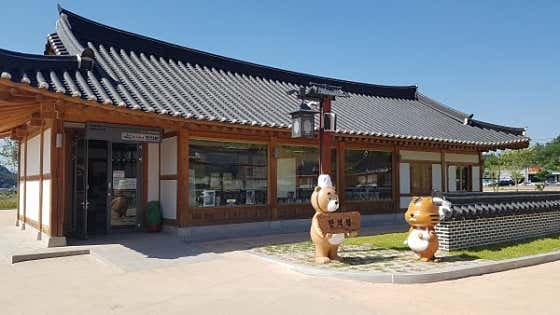 Hanui Village Korean Medicine Clinic