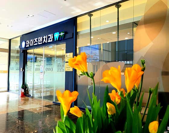 Wise Den Dental Clinic