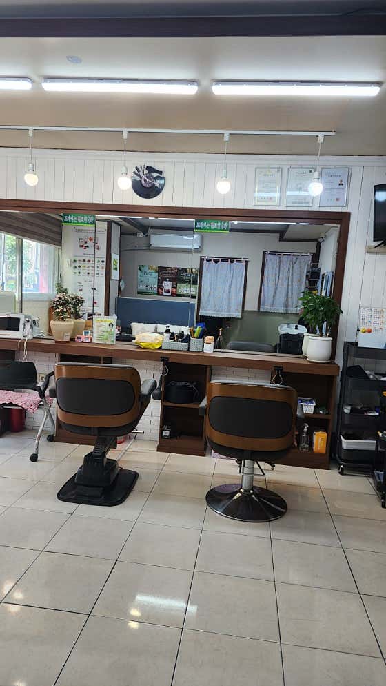 세이프존
