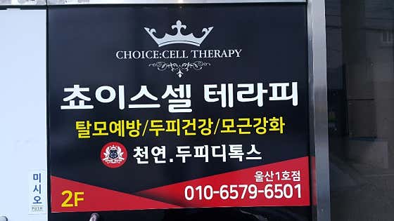 Choice Cell Therapy 蔚山分會 1