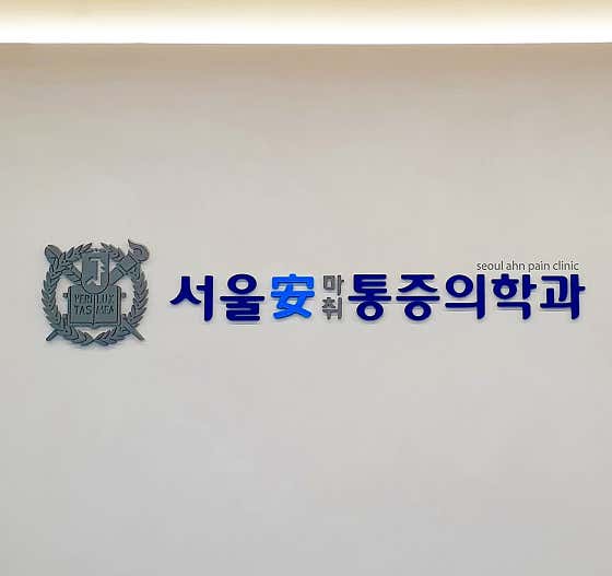 서울안마취통증의학과의원정형외과