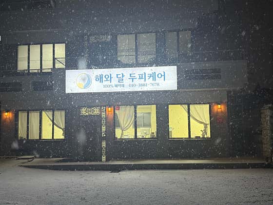 Hae and Dal Scalp Care