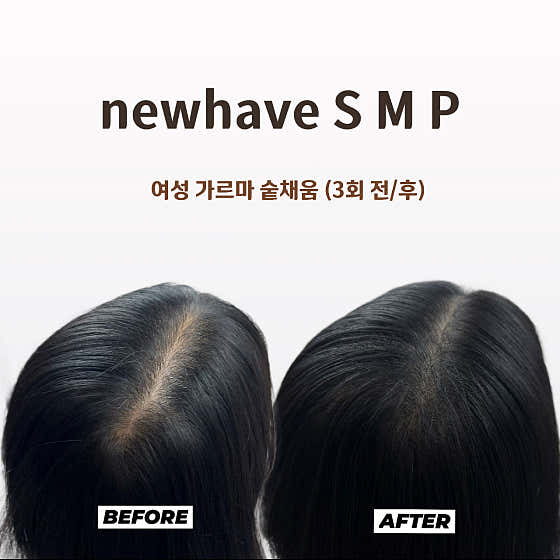 뉴헤브
