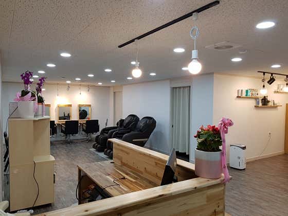 노블레스헤나