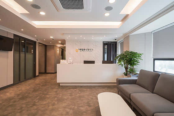 Period Plastic Surgery Clinic