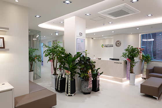 Four Seasons Neurosurgery Clinic