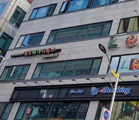 에코헤나디톡스 파주점