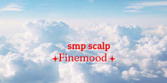 파인무드 SMP