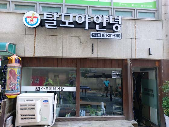 탈모야안녕