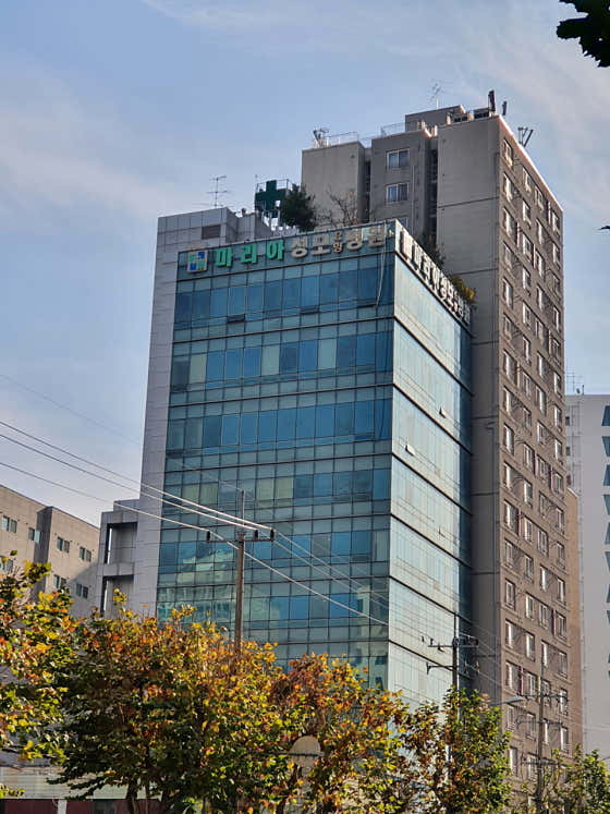 Maria St. Mary Nursing Hospital