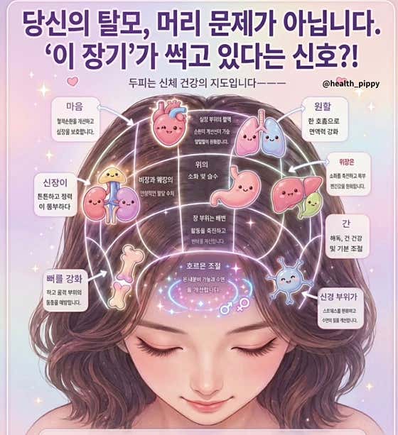 美顏SD設計