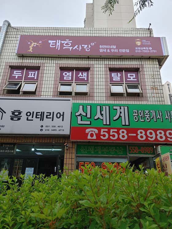 Empress Dowager's Love Topyeong Sangnok Branch Hair Dye