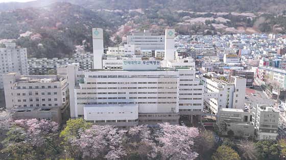 Inje University Busan Paik Hospital