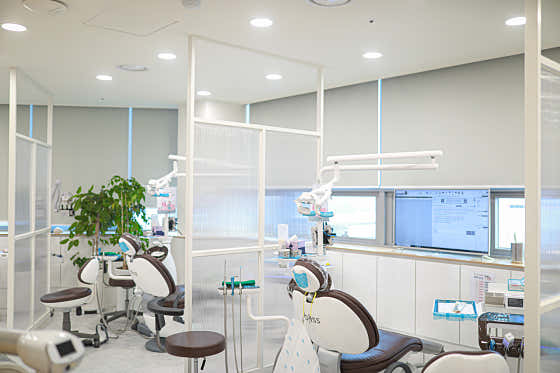 Bliss Dental Clinic