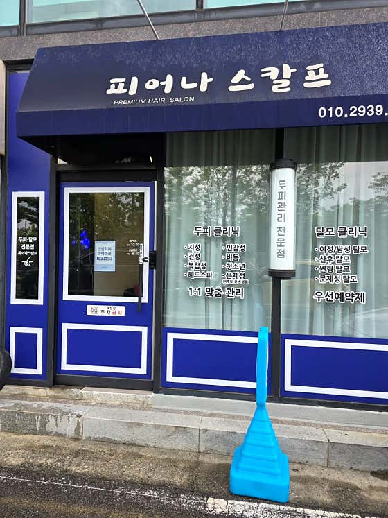 더 데이지