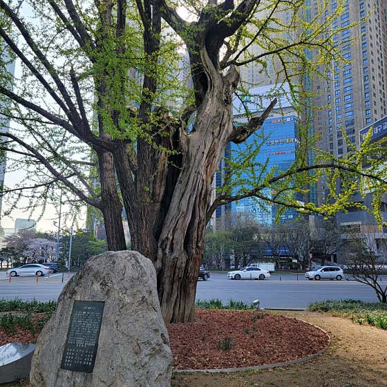 Beomeo Saem Pyeonhan Internal Medicine Clinic