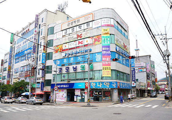 늘푸른치과의원