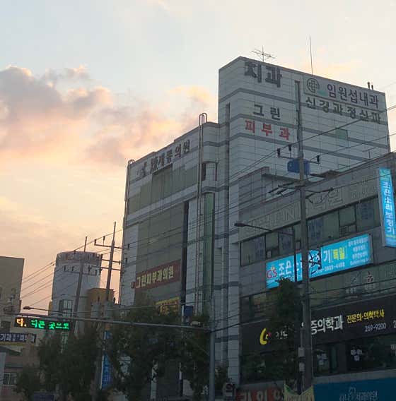 진제통의원