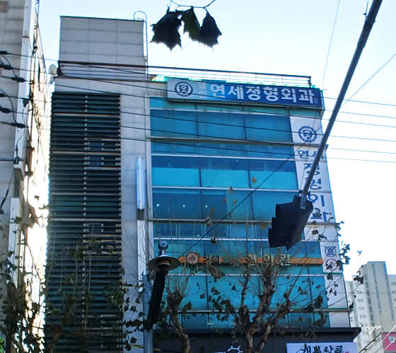 열린연세정형외과의원