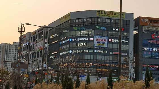 承浩麻醉與疼痛醫學診所