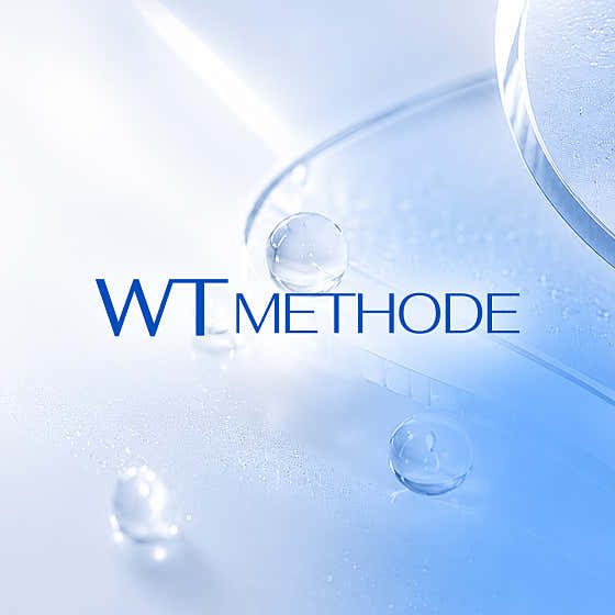WT Method Eunpyeong Branch