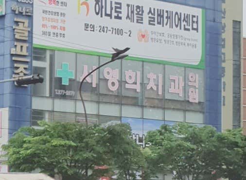 Seo Young-hee Dental Clinic