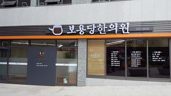 Boyongdang Korean Medicine Clinic